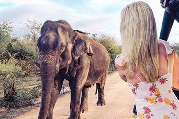 7 Days Private Tour with English Speaking Guide - Explore Sri Lanka