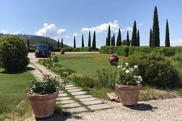 Siena, San Gimignano & the Chiantiside private tour with Mercedes V class Van