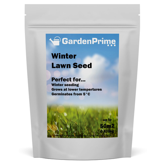 (50m2) GardenPrime Winter Lawn Seed