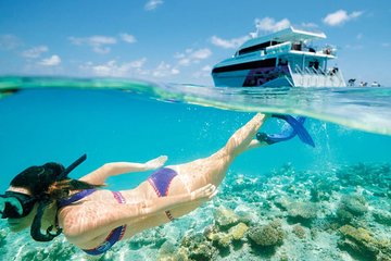 Snorkeling Trip from Muscat