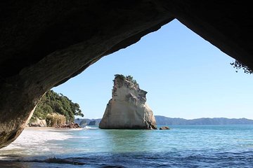 10 Day Northern Trail Haka Plus Tour