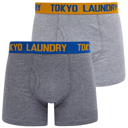 Mens Underwear Tonsley (2 Pack) Boxer Shorts Set in Autumn Glory / Princess Blue - Tokyo Laundry / M - Tokyo Laundry