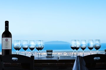 From Florence: Bolgheri Wine Tour, tasting among the coastal hills of Tuscany