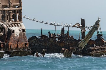 Cut Wreck Snorkeling Trip