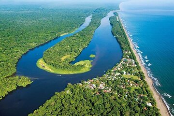 Tortuguero One Day Tour from San Jose. 100% Private
