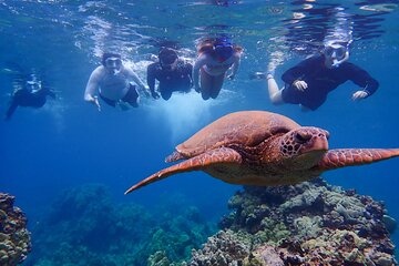 Private Turtle Town Kayak & Snorkel Tour (7am-10am)