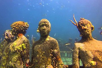 4 hours half day sail & snorkel cruise Double Dip to Underwater Sculpture Park