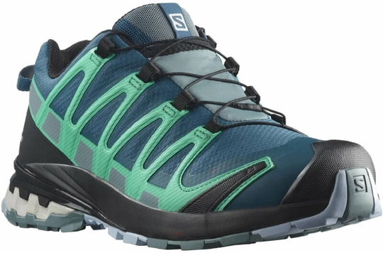 Salomon XA Pro 3D V8 GTX Black/Black/Black 40 2/3