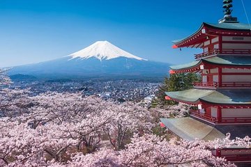 Mt Fuji Private Customize Tour by Van