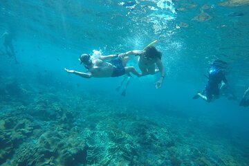 Manta Bay and Diamond Beach Private Snorkeling Tour with Lunch