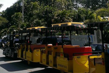 Early Bird Snorkel-9am, Key West Aquarium & Conch Train