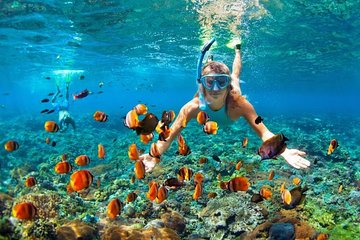 4 Point Snorkeling Nusa Penida from Bali with Japanese-Speaking Guide