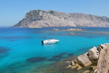 Boat & Snorkeling | Private tour up to 6 People
