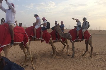Dubai Evening Camel Safari Adventure with BBQ Dinner