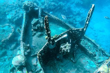 Tugboat & Turtle Snorkel Adventure