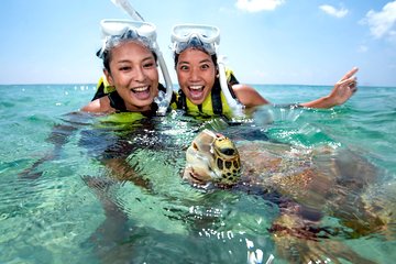 Miyakojima / Snorkel tour to swim with sea turtles