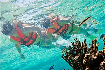 Snorkeling Adventure from Cancun and Riviera Maya