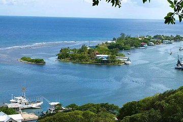 Private Tour: Chocolate Factory Rum cake Factory, Sightseeing and Beach Tour