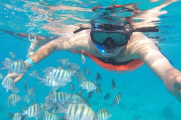 Private Snorkeling Experience at Isla Mujeres