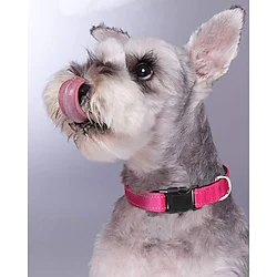 Reflective Dog Collar, Soft Neoprene Padded Breathable Nylon Pet Collar Adjustable for Small Medium Large Extra Large Dogs Lightinthebox