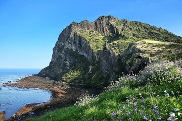 Customizable 9 Hour Private Tour of Jeju Island with English Driving Guide & Van