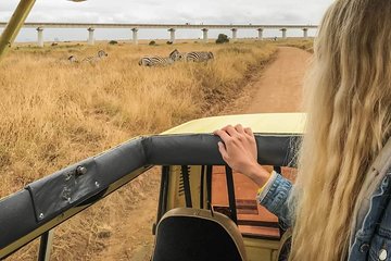 Private Safari Nairobi national park/Elephant & Giraffe Centre