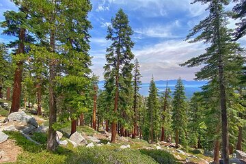 Bike Rental in South Lake Tahoe