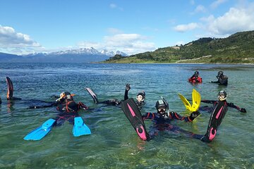 Snorkeling in the Canal Beagle