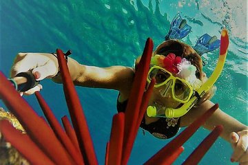Molokini Crater Zodiak Adventure Snorkel and Turtle Cove Swim