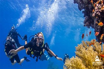 Day Tour to Snorkeling Trip to Giftun Island in Egypt