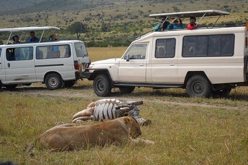 Things To Do Nairobi: Nairobi National Park &Giraffe Centre/lunch/bomas Of Kenya