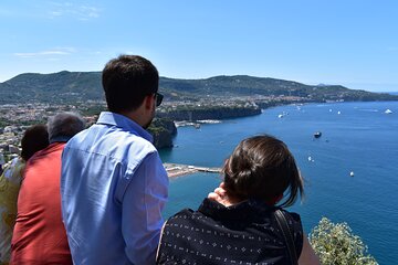 Naples to Pompeii & Amalfi Coast Shore Excursion with Private Van Driver & Guide