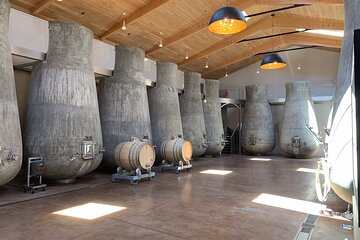 Half-Day Private Tour in Saint-Émilion (in a luxury van)