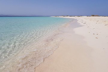 Snorkeling Trip At Satayh Reef