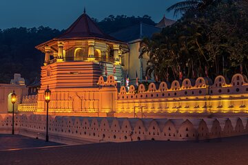 07 Days Highlights of Srilanka From Negombo