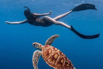 Bali Snorkelling at Blue Lagoon With Lunch And PrivateTransport