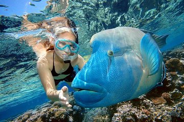 Adventure Snorkeling Full Day Boat Trip With Water Sports and Lunch - Hurghada