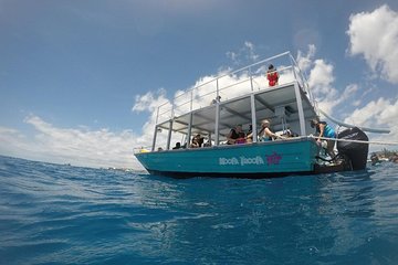 Harbour Lights - Barbados Turtle Snorkel Tour