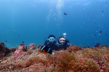Scuba diving & snorkeling