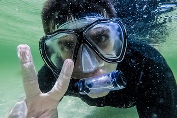 Kayak Snorkel Shell Adventure Tour with Naples Kayak Adventures