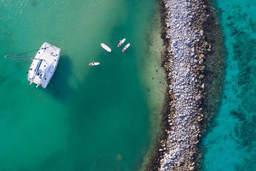 Riviera Maya Luxury Catamaran and Snorkeling, Lunch & Drinks Included