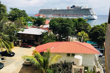 Shore Excursion: Roatan Island Tour and Reef Snorkel by Boat