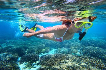 Leeward Coast Dolphin and Snorkel Sail