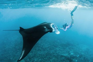 East Nusa Penida Island Beach Tour with Snorkeling - Departure From Bali Island