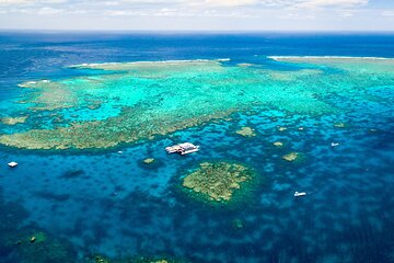 Quicksilver Outer Great Barrier Reef Snorkel Cruise from Port Douglas