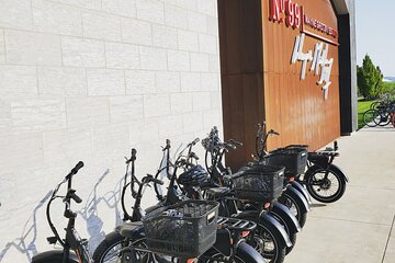 E-Bike Rental Tour and Explore in Niagara-on-the-Lake