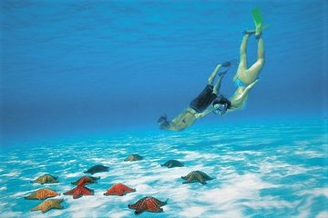 Cozumel Snorkel tour to El Cielo Beach