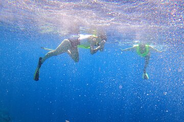 Private Snorkeling Experience in Villanova