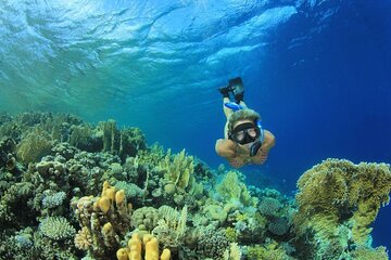 Marsa Mubarak and Marsa El Shona Snorkeling Tour