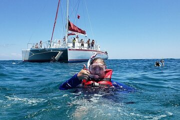 Key West Afternoon Reef Snorkeling with Open Bar